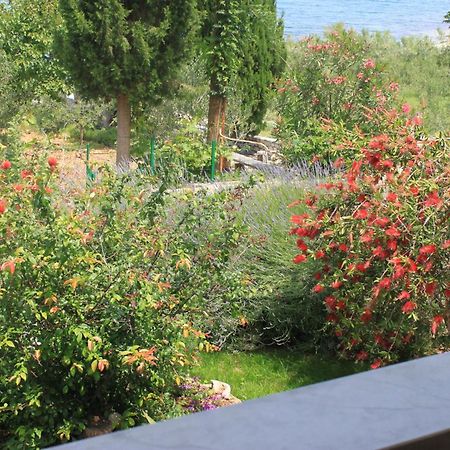 Oasis Apartments Sutivan Dış mekan fotoğraf