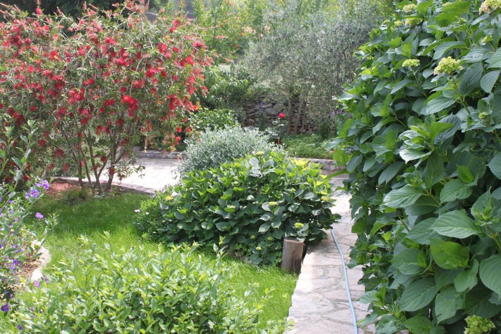 Oasis Apartments Sutivan Oda fotoğraf